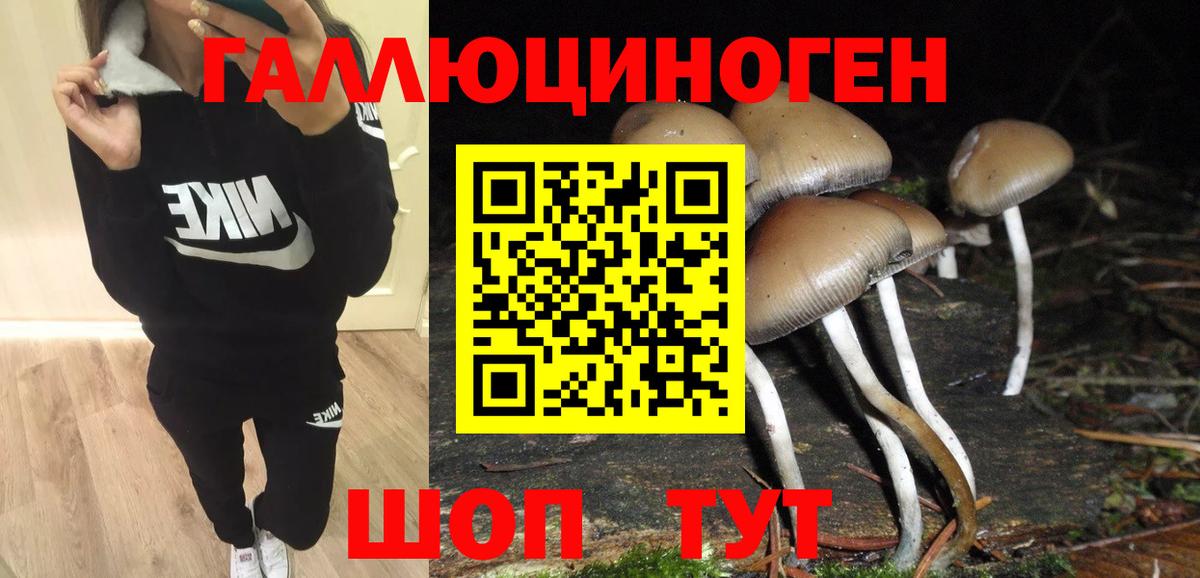 Псилоцибиновые грибы Psilocybine cubensis  Вход с VPN  Галлюциногенные грибы MAGIC MUSHROOMS  Бутурлиновка 
